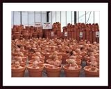 123 Pots by Anne Geddes 31.50X23.75 Framed with Black Wood Frame