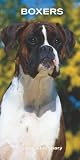 Boxers (International) 2008 Hardcover Slim Diary: Slim Diary Hc
