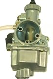 Jaguar Power Sports Mikuni PZ22 Performance Carburetor