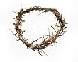 Crown of Thorns From The Holy Land 7"