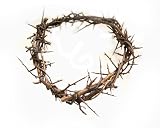 Crown of Thorns From The Holy Land 7"