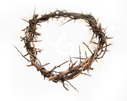 Crown of Thorns From The Holy Land 7"