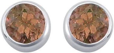 Fine Jewelry Vault UBERAG600ST110 Smoky Quartz Bezel Set Stud Earrings 925 Sterling Silver 2 CT TGW
