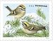 Songbirds in Snow Forever First Class Postage Stamps (20 Stamps) - United States Postal Service