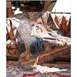 Yorkshire Terrier Pampered Pets Tapestry Afghan