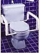 Toilet Safety Rail