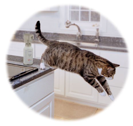 Childrens Toyshop  Pet Supplies : Sentry Spray Kit