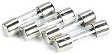 StreetWires AGU Type Glass Fuses 4-pack of fuses 20-amp