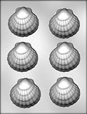 CK Products 2-3/4-Inch Seashell Chocolate Mold