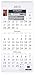 AT-A-GLANCE SW11528 Three-Month Reference Wall Calendar, 12 x 27, 2015-2017