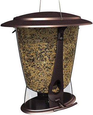 More Birds X-2 Squirrel 4-Pound Capacity