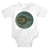 Onesie with animals, stone, horseshoe, beach, nature, crab, animal