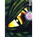 YuGiOh MAX Protection 50 Count Gaming Card Sleeves Green Dragon Eye