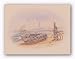 Beached by Howard Burger 11"x14" Art Print Poster