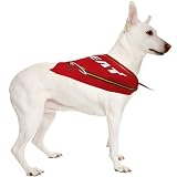 NBA Dog Bandana Team: Miami Heat, Size-See Size Chart Below: Medium / Large (10" H x 4" W x 1" D)