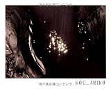 SOL 画像