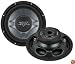 12 Dual Voice Coil Shallow Subwoofer