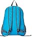 C&G Casual Nylon Lightweight Travel Camping Foldable Skin School Backpack