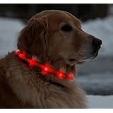Floppy Ears Design USB Rechargeable LED Light-Up Safety Neck Loop, One Size fits dogs 13" to 24", Orange