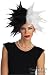 Adult 101 Dalmations Cruella De Vil Costume Wig
