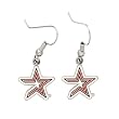 Houston Astros Dangle Earrings