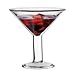 Bodum Manhattan Double-Wall Thermo Martini Glass