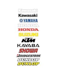 Automotive Parts and Accessories: Factory Effex 02-7049 Flo Red Showa Universal Swing Arm Sticker - Factory Effex