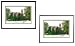 Colorado Buffaloes - Boulder - Framed Undergrad Lithograph
