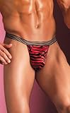 iGees by Fantasy Lingerie Mens Tiger Print Posing Strap