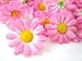 (24) Silk Pink Gerbera Daisy Flower Heads , Gerber Daisies - 1.75