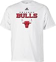 Chicago Bulls White Adidas True T-Shirt