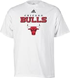 Chicago Bulls White Adidas True T-Shirt