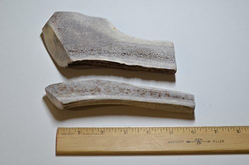 Doggie Dealz Elk Antler Dog Chew - All Natural &amp; Organic Premium Grade A Treat from Wild Elk - Made in the USA (2-Pack Splits, Medium 5"-7")