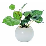 ���i�̏ڍ�