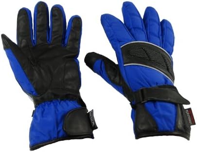 Glove Guys Thinsulate Ski Gloves (Blue, XX-Large)