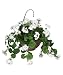 Artificial White Geranium Hanging Basket