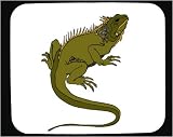 Decorated Mouse Pad with iguana, green, reptile, crawling, lizard