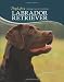 Labrador Retriever (Doglife) (Doglife Series)
