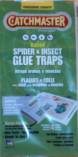 Spider & Insect Glue Trap - 4 Professional Strength Traps per Package