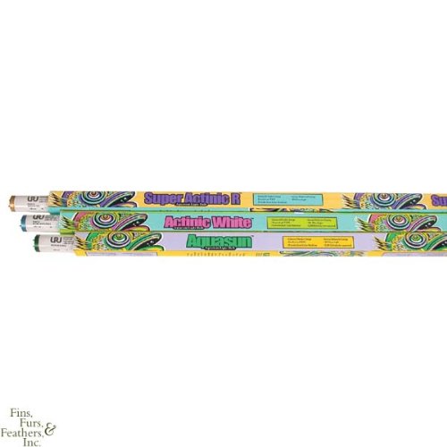 UVL 36 Inch 95W Fluorescent Bulb