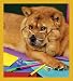 The Professor Bookmark Image