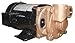 DAYTON 4JPE1 Turbine Pump, 3/4 HP, 3 Ph, 2.4/1.2 Amp