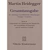 Gesamtausgabe. 4 Abteilungen: Gesamtausgabe 76. Leitgedanken zur Entstehung der Metaphysik, der neuzeitlichen Wissenschaft und der modernen Technik: BD 76