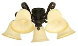 Craftmade LK37CFL-OB 5-Light Chaparral Oiled Bronze