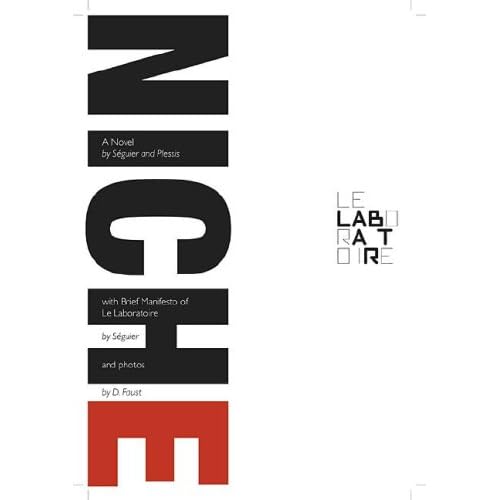 Niche (Idea Translation Lab Series)