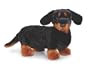 Webkinz Dachshund