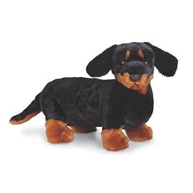  Webkinz Dachshund