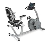 LifeSpan R3i Recumbent Bike