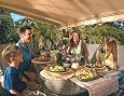18` SunSetter Motorized Pro (XL Available) Retractable Awning