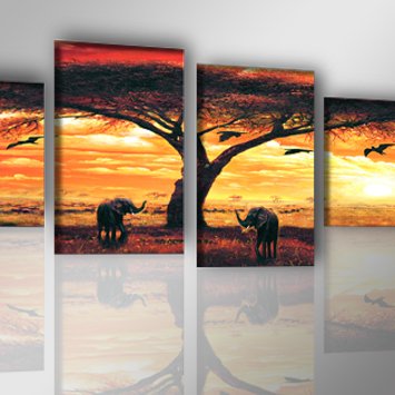 Imagen principal de Visario 6701